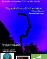 Kontzertua: Sapere Aude Sinfonietta (AFAGIren alde)