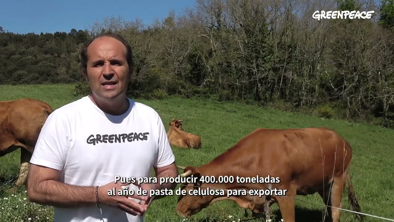 No a la megafábrica de celulosa de Altri en Galicia